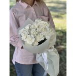 Букет из 25 гвоздик «Элвис»