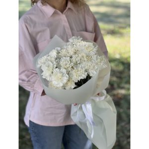 Букет из 25 гвоздик «Элвис»