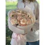 Букет из 19 гвоздик «Мара»
