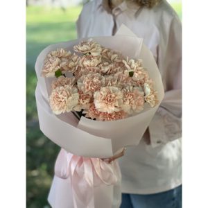 Букет из 19 гвоздик «Мара»