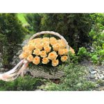 Корзина из 51 персиковой розы