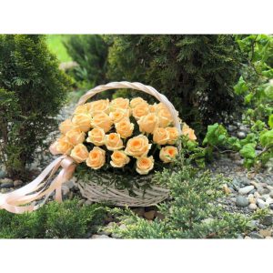 Корзина из 51 персиковой розы